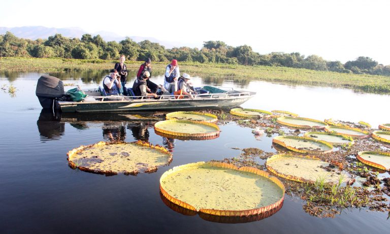 Do Nabileque à Nhecolândia e do Aguapeí ao Paraná, os pantanais de MS