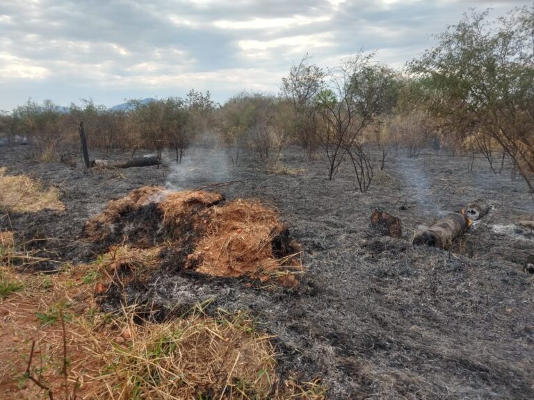 Pesquisa sugere caixa corta-fogo para controle dos incêndios no Pantanal