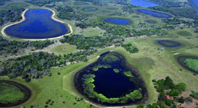 Lei do Pantanal entra em vigor seguida de regulamentações