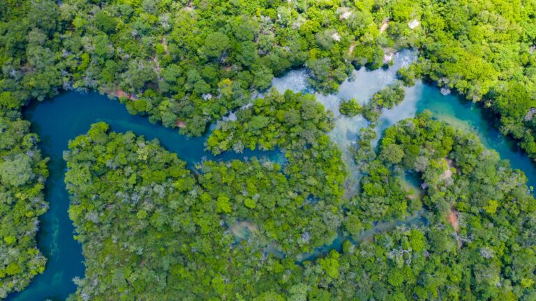 Rota Pantanal Bonito comemora premiação por boa gestão do turismo