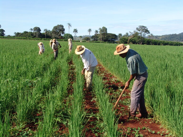 Investimento na agricultura familiar sobe 130% em edital da Fundect