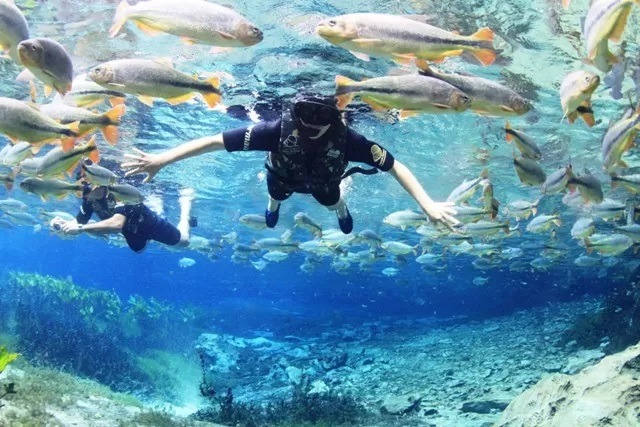Flutuar em águas cristalinas é uma experiência única
