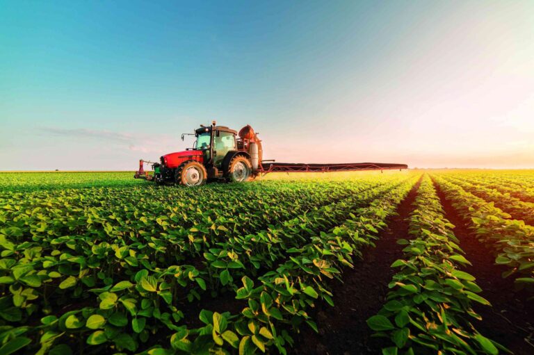 Renda da agricultura cai 25,37% em Mato Grosso do Sul
