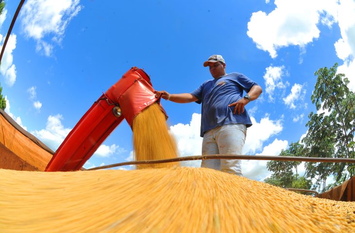 Produção nacional de grãos deve chegar a 295,6 milhões de toneladas