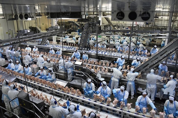 Nova política industrial segue estratégia de MS, diz Verruck