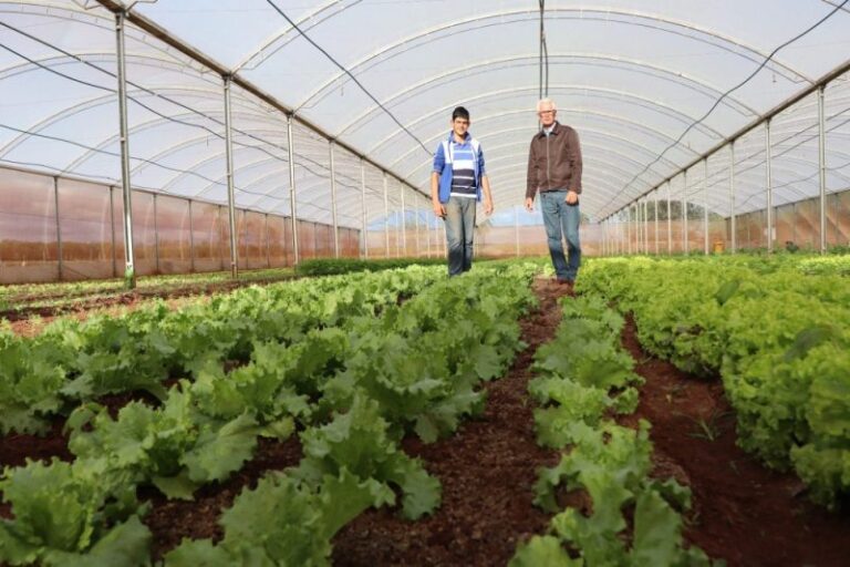 Tecnologia chegará aos agricultores familiares e comunidades tradicionais