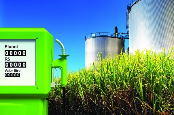 Projeto impede oligopólio na produção de biocombustíveis e créditos de carbono
