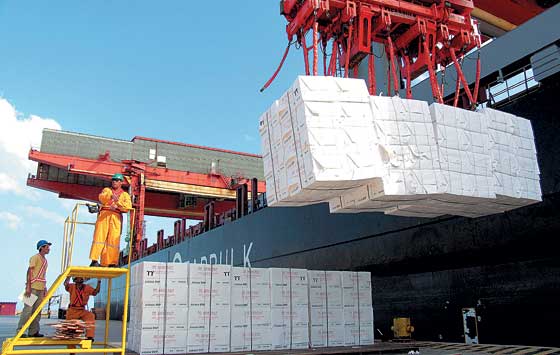 Balança comercial – celulose faz indústria bater recorde de divisas