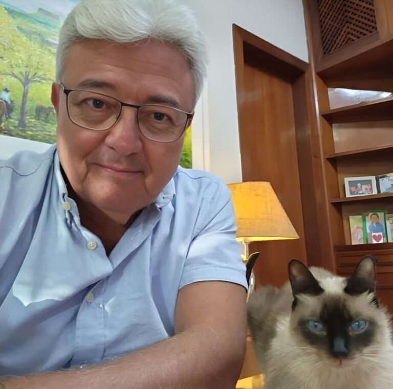 Nomes aos bois