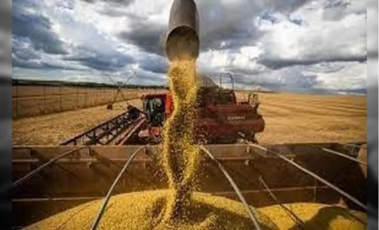 Conab estima produção de grãos em 298,41 milhões de toneladas