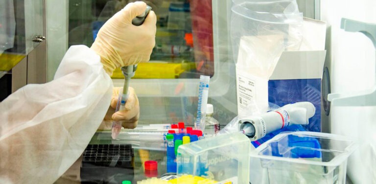 Estudo aponta papel das políticas públicas na resposta à pandemia