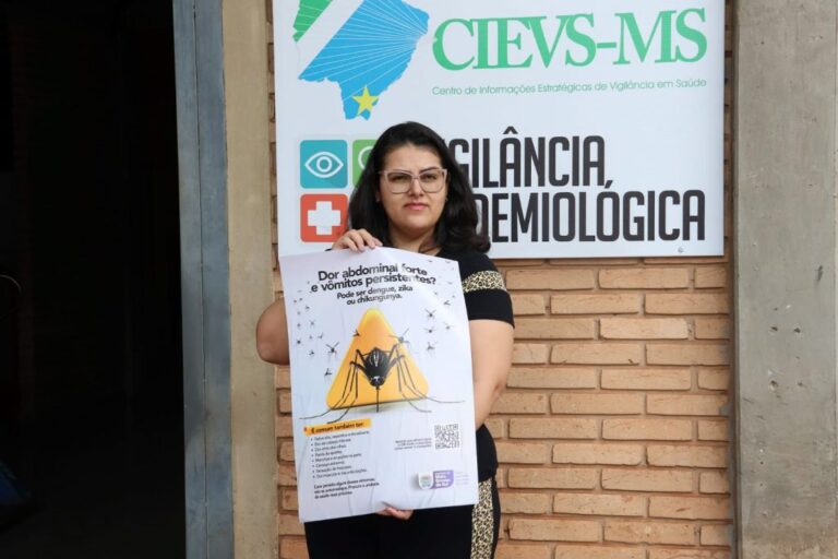 Brasil se aproxima de 1 milhão de casos prováveis de dengue