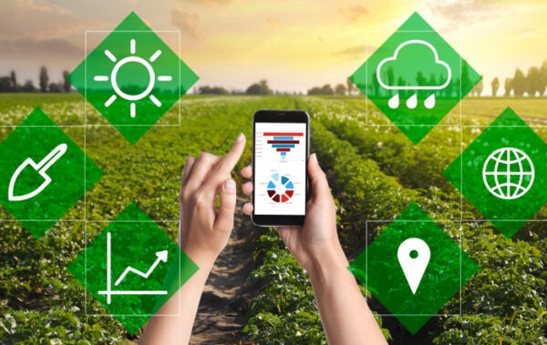 Entenda como o comércio digital revoluciona o agronegócio