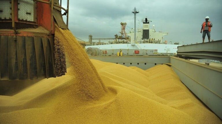 Brasil vai colher 149 milhões de toneladas de soja, diz consultoria
