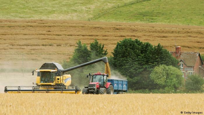 Mesmo que sob bases sustentáveis, agropecuária emite 25% dos gases de efeito estufa