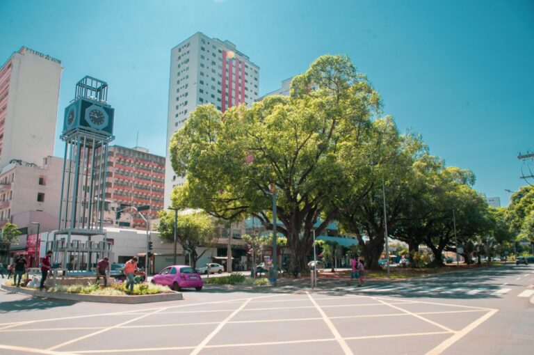 Campo Grande é ‘Cidade Árvore do Mundo’ pelo 5º ano