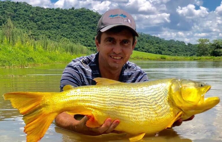Riedel sanciona lei que prorroga proibição da pesca do dourado