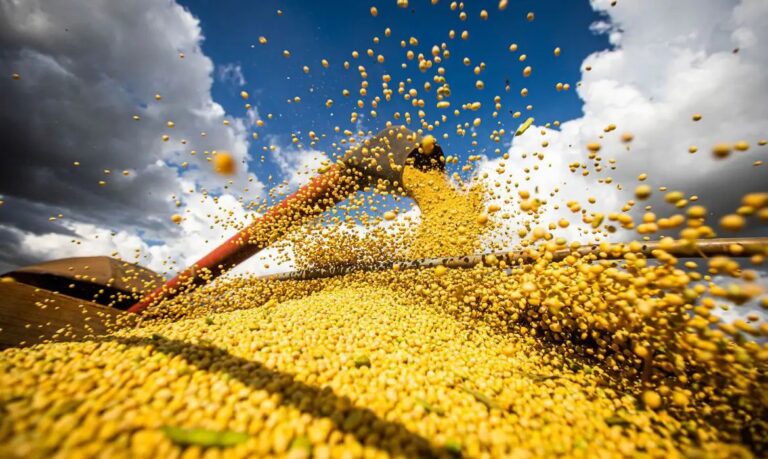 Exportações do agro ultrapassam US$ 153 bilhões em 2024