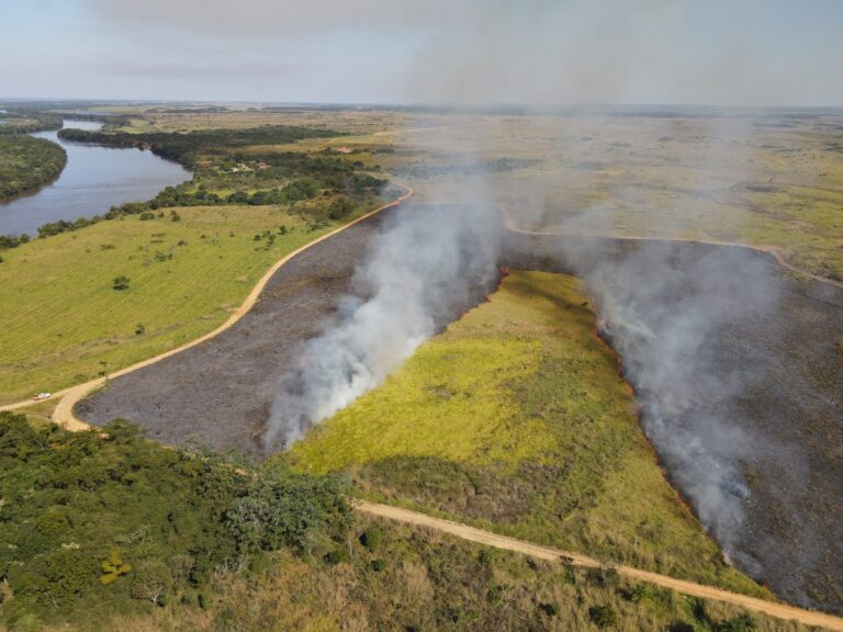 MS estuda banir “cultura do fogo” para proteger o Pantanal
