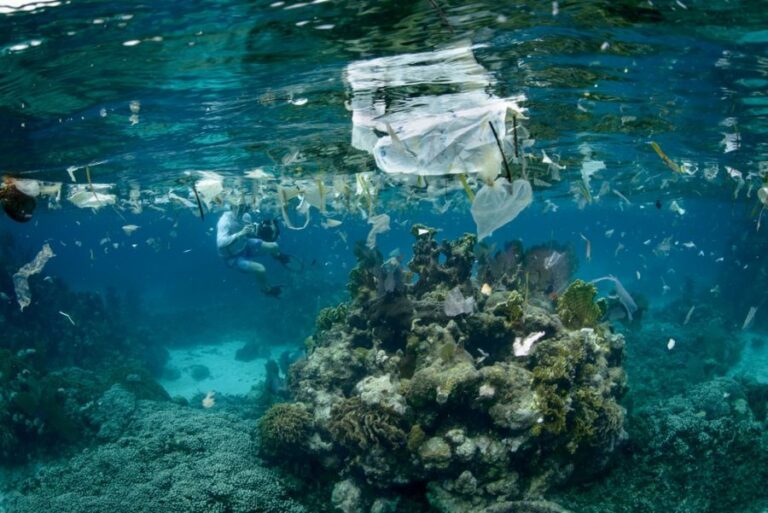 Pesquisadores avaliam presença de lixo no oceano