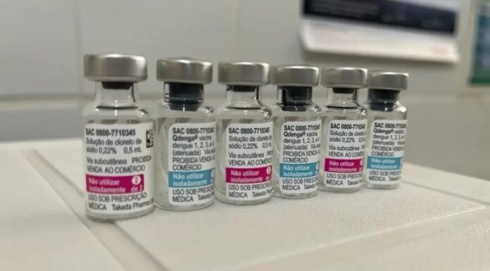 vacina dengue