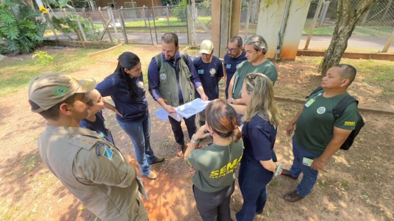 Estados do Pantanal, MS e MT começam a discutir cooperação