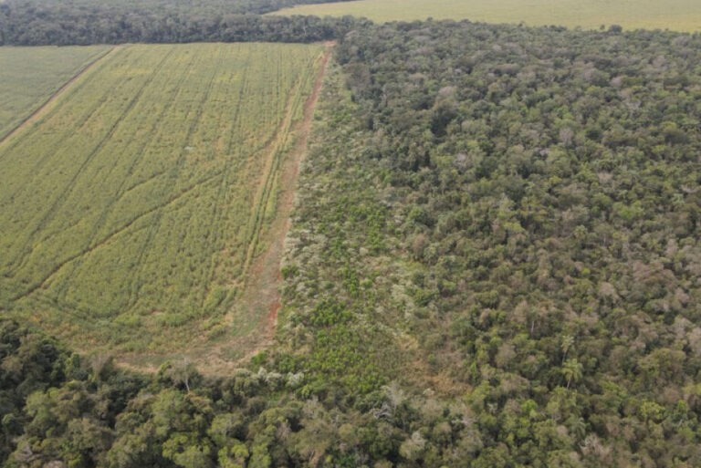 STJ condena licenças do Imasul para desmatamento em Bonito