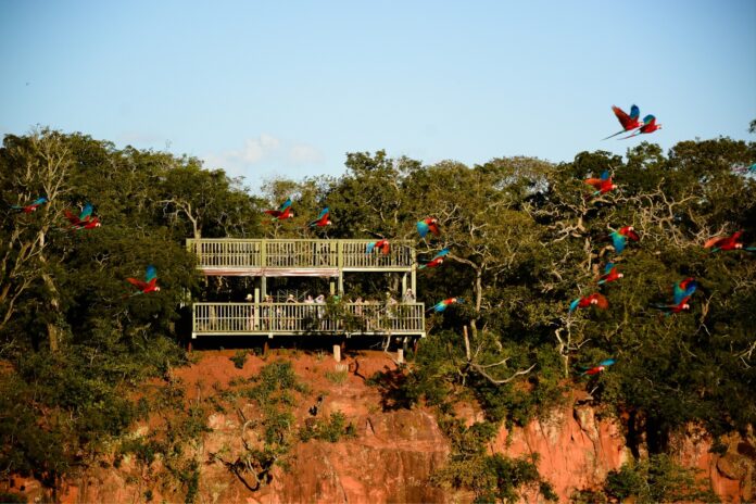 Bodoquena2