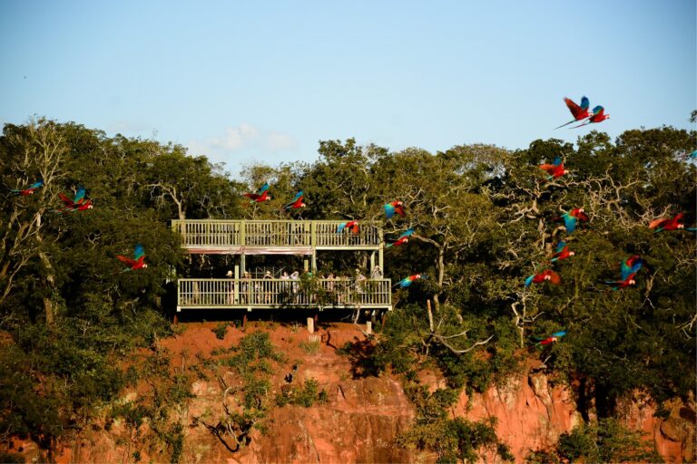 Um dia de pura natureza no Buraco das Araras e águas cristalinas do Rio da Prata