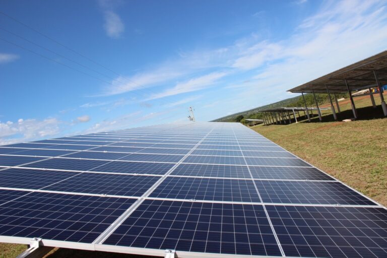Energia limpa a partir de biomassa e luz solar tem forte expansão em MS