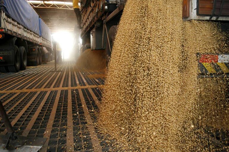 Nova fronteira agrícola enfrenta dificuldades para escoar produção