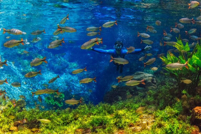 Dia Nacional do Turismo Ecológico: o exemplo da Serra da Bodoquena