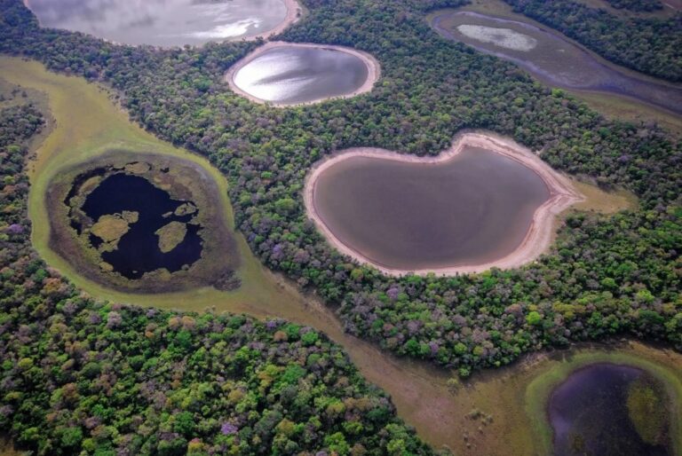 Malha de corredores ecológicos transformará a conservação do Pantanal