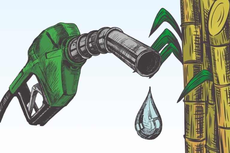 Frota da Fiems deixa de emitir 207 toneladas de carbono