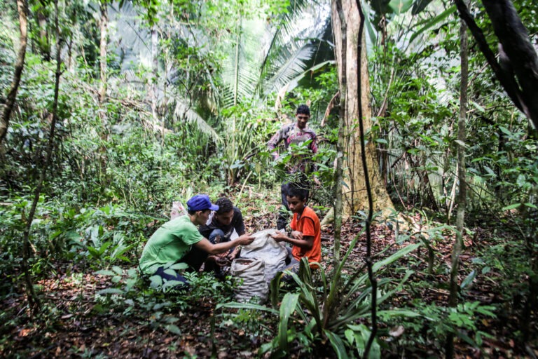 Sociobiodiversidade: Conab libera subvenção de até R$ 45 milhões para extrativistas