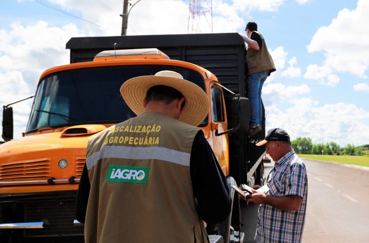 Governo anuncia concurso para 29 vagas de fiscais agropecuários