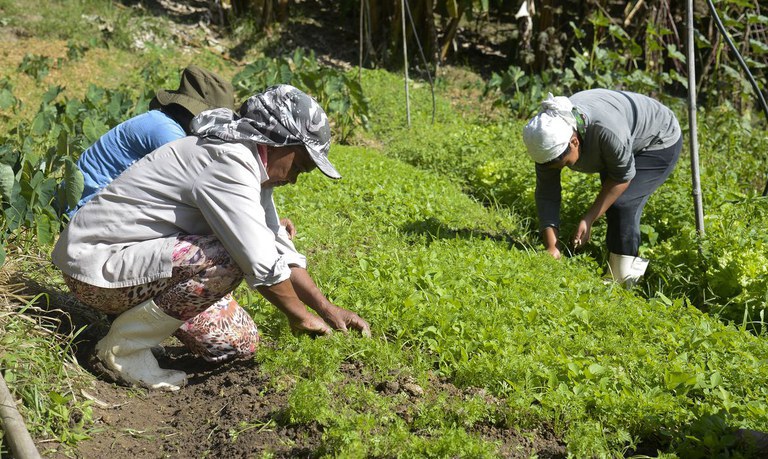 Inclusão produtiva amplia oportunidades de renda para 70 mil famílias