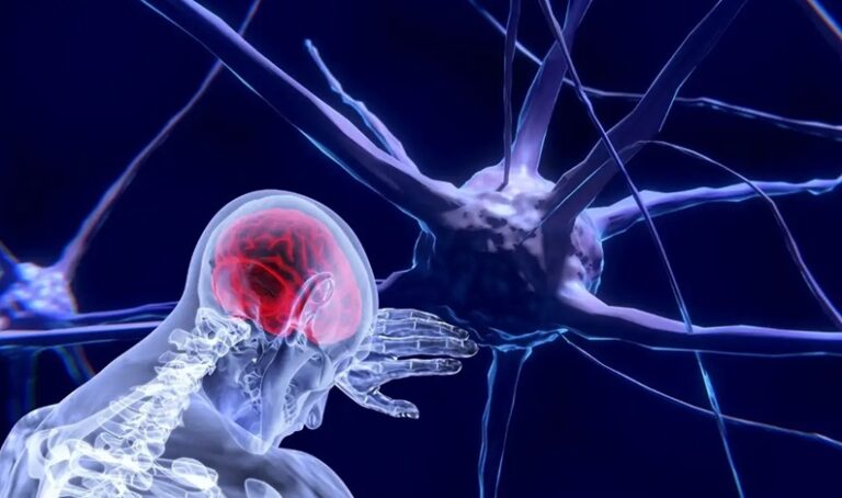Neurotecnologia permitirá alterar funcionamento mental, diz cientista