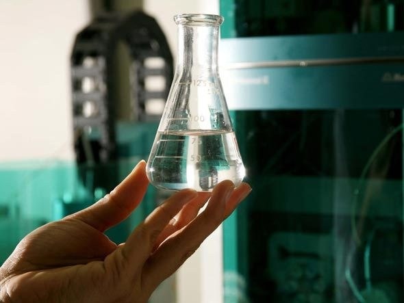 Cepa mutante turbina produção de etanol 2G sem aumentar plantio