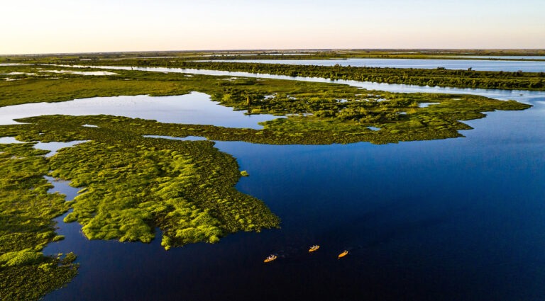 Lei do Pantanal: donos de imóveis em área restrita precisam ajustar cadastro