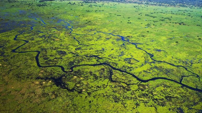 Aprovado no Senado o Estatuto do Pantanal. Texto segue para a Câmara