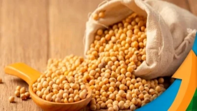 Paraguai fecha safra de soja 23/24 com 10 milhões de toneladas e muita variação de produtividade