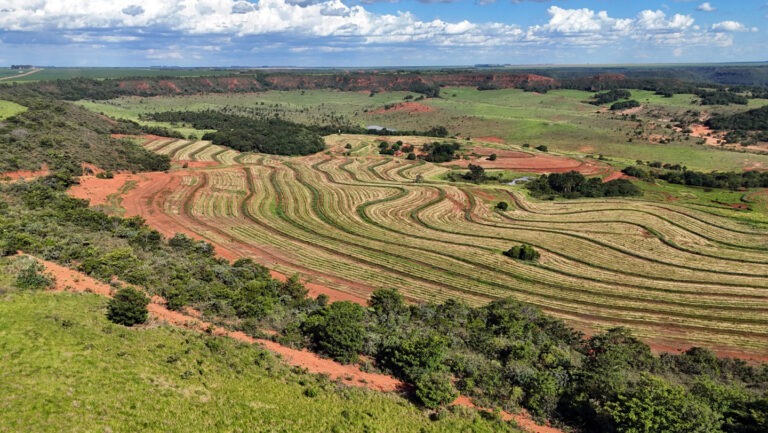 Maior projeto de recuperação alcança 6 mil hectares do Parque do Taquari