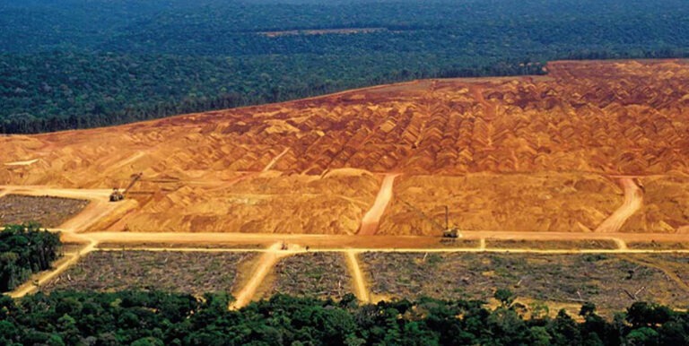 Polo agrícola concentrou 76% do desmatamento de três estados amazônicos