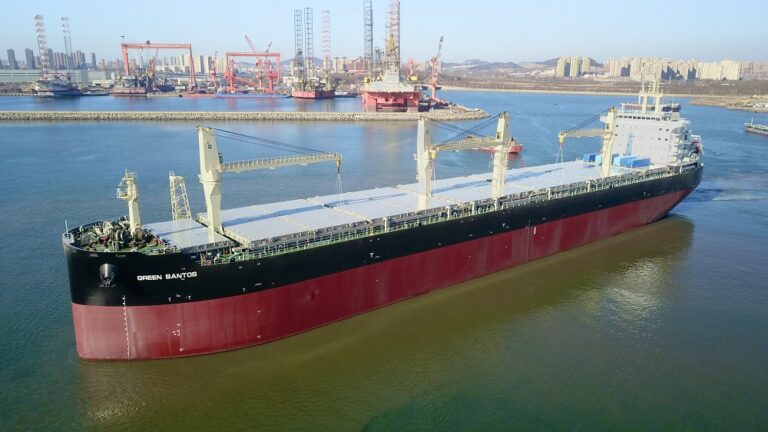 China já compra quase toda a celulose produzida em Mato Grosso do Sul