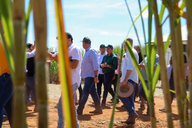 ICMS do biometano cai para 1,8% e gigante do setor sucroenergético anuncia usina