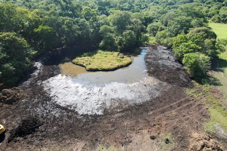 Bonito sedia prévia da COP 30 no olho do desmatamento