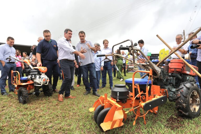 Apoio do governo reposiciona agricultura familiar na economia do Estado