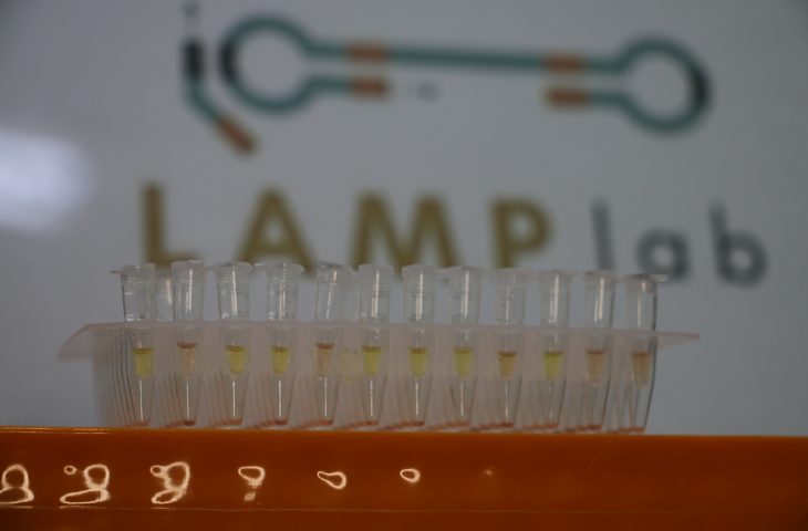 Startup inova com diagnóstico rápido de leishmaniose