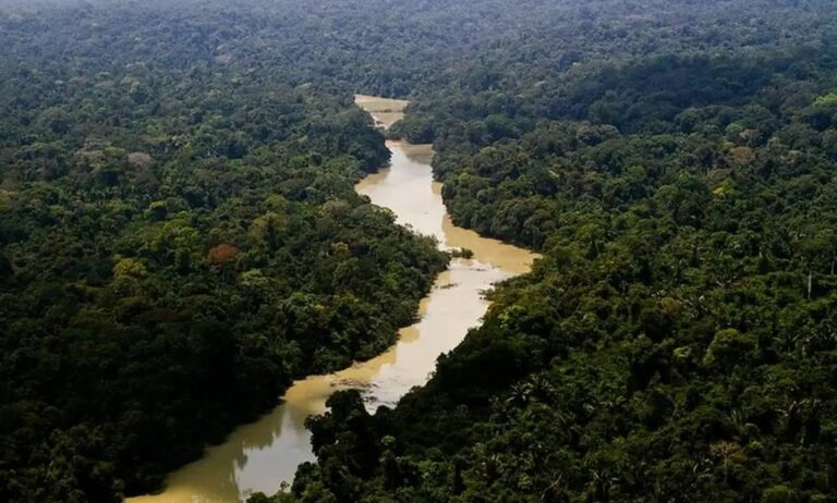 Ministério Público vê danos irreversíveis por “descaso” com meio ambiente